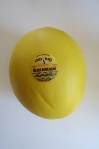 trader joes 014
