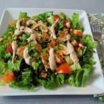 BBQ Chicken Salad 024ooa