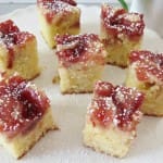 eggnog bread, plum jam brownies 043a