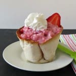 Strawberry Ice Cream in a Cinnamon and Sugar Cup 029a
