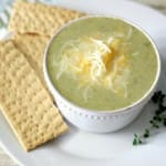 Broccoli and Cheese Soup